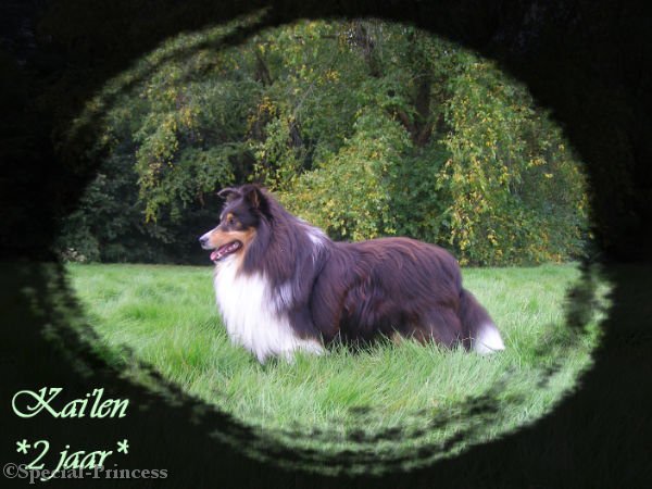 Volwassen Kai'len